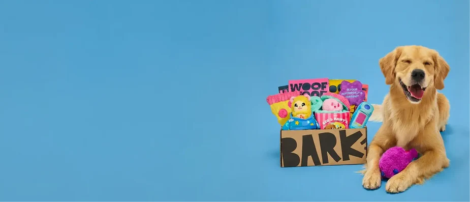 Every Dog's Favorite Monthly Surprise